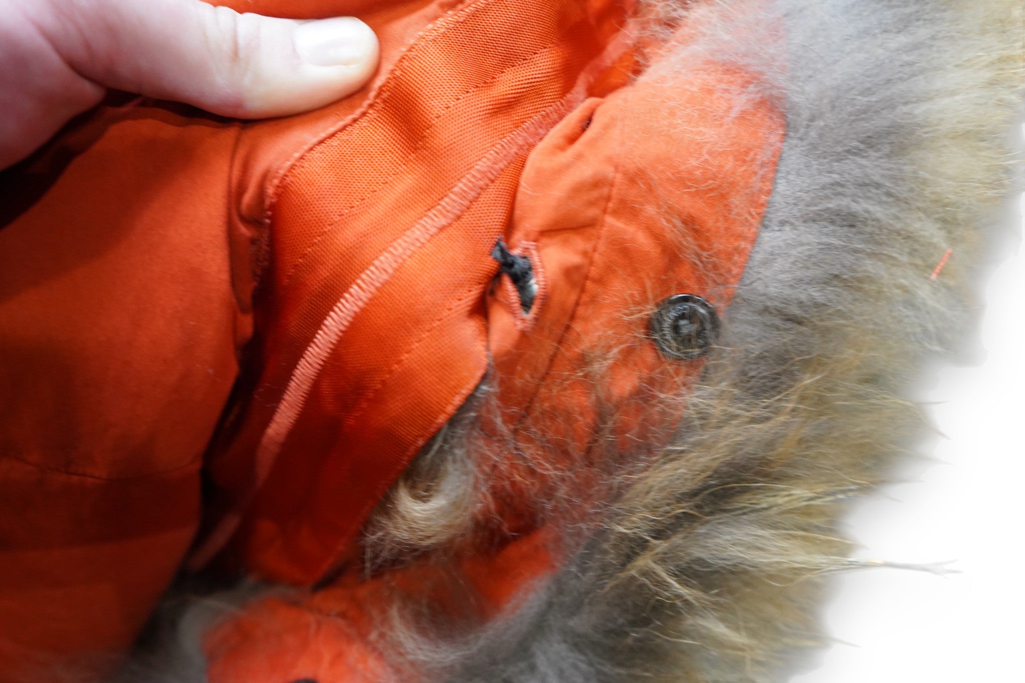 C.P. Company 50 Fili Down Detachable Fur Trim Jacket