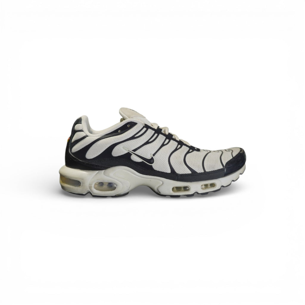 Nike TNs Panda