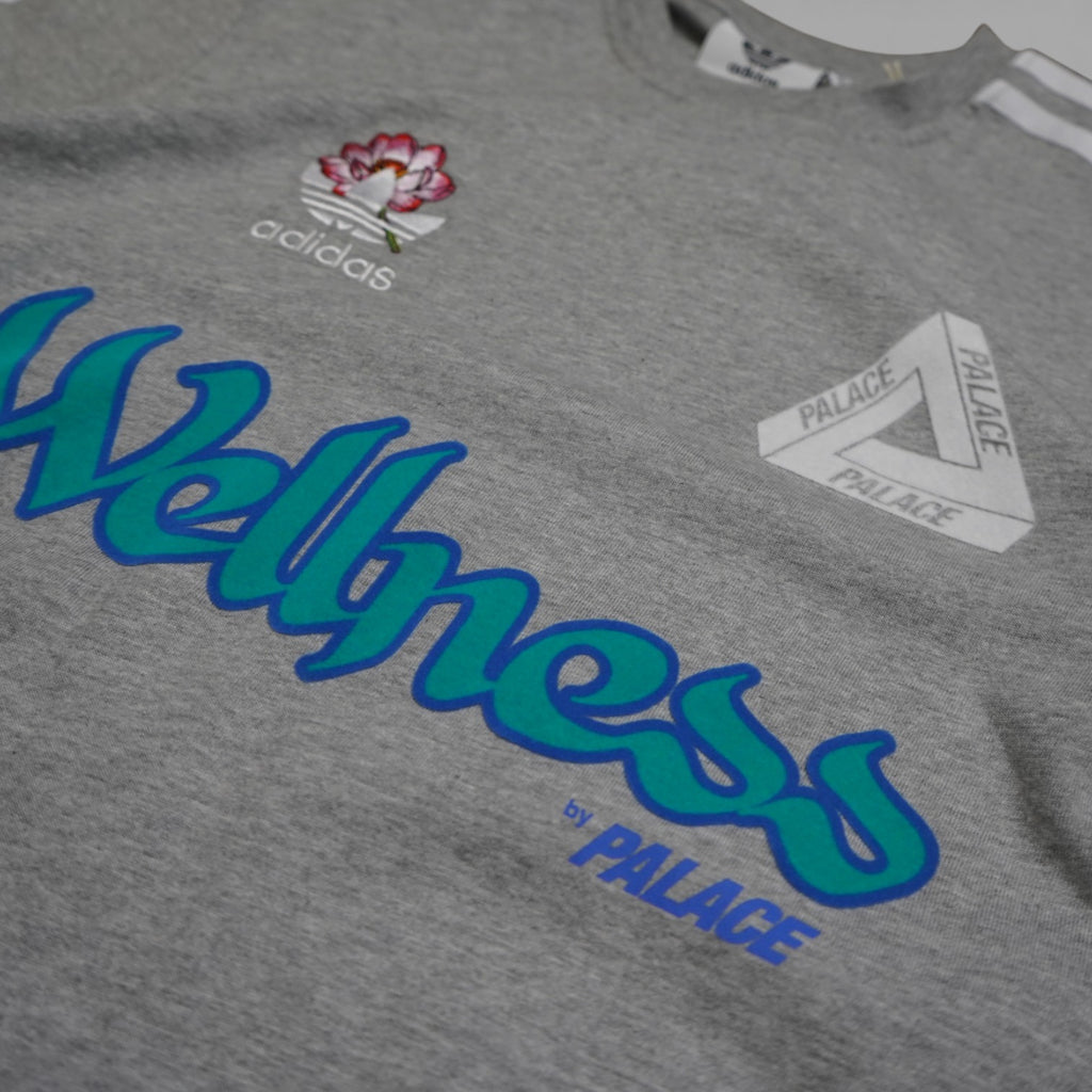 Palace X Adidas Palaste T-shirt